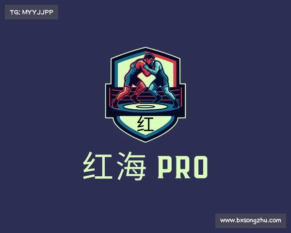 介绍红海 Pro